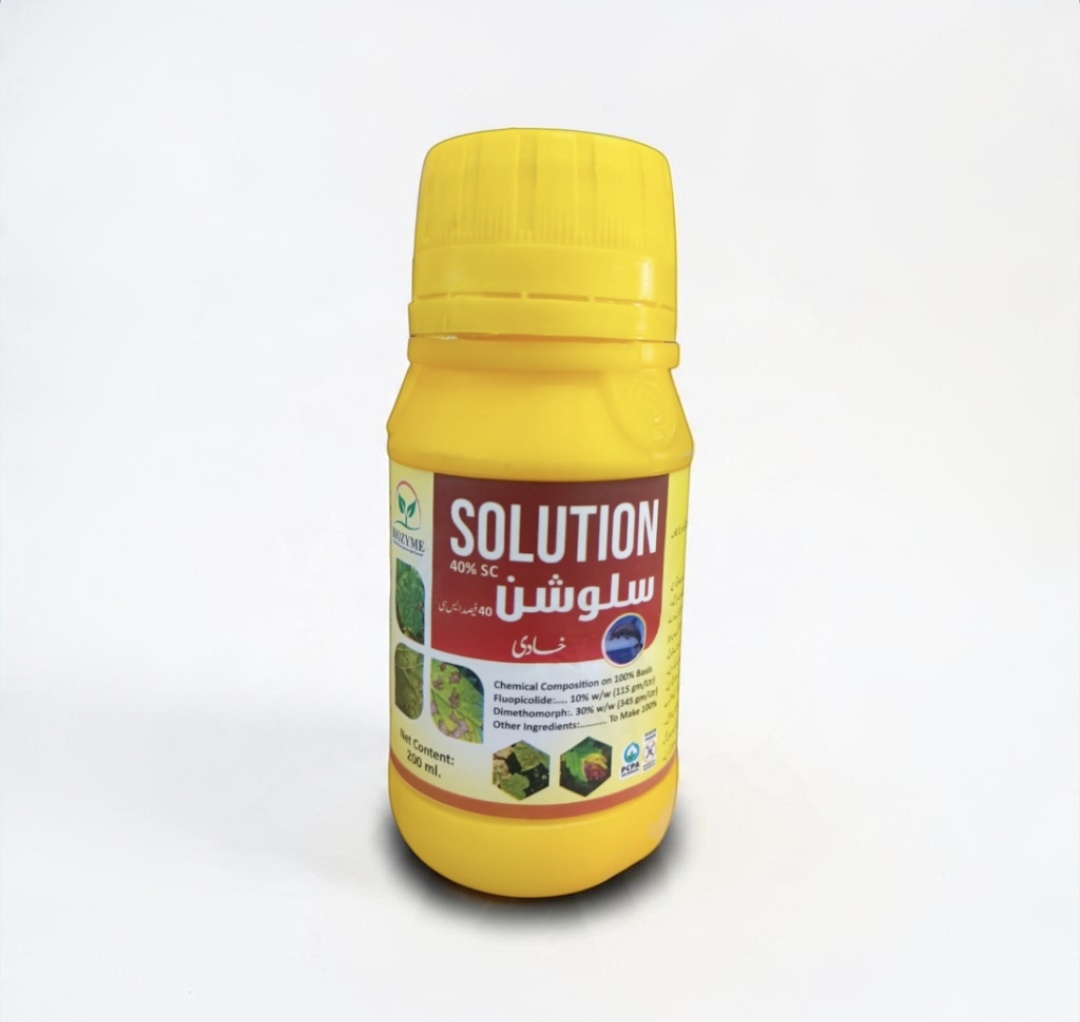 Solution 313™